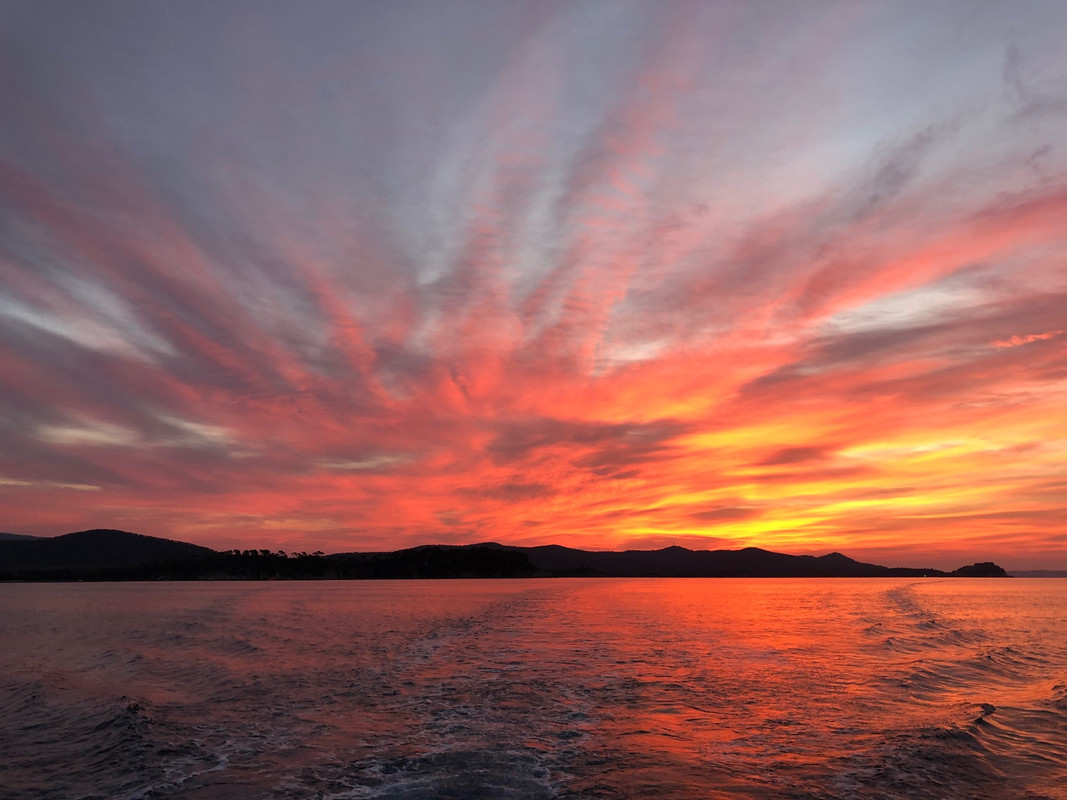 3BF8ABF3-F266-4696-9BA6-538EF02B0882