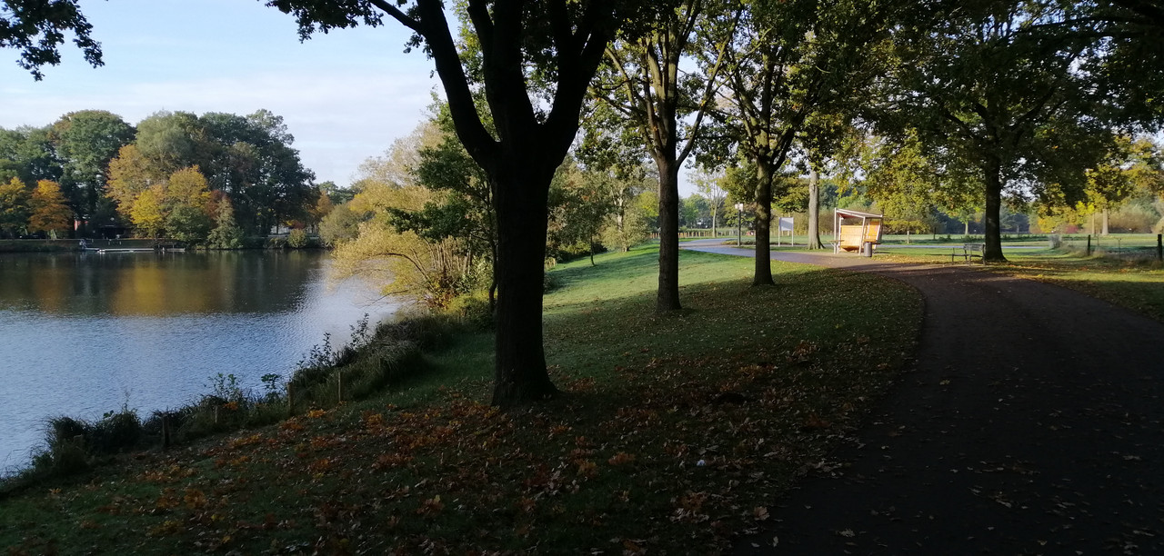 IMG-20221022-103043.jpg