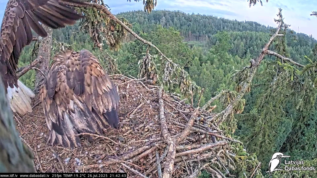 vlcsnap-2025-07-27-04h50m16s877