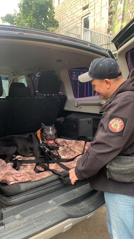 245267F0-49AB-415C-A015-F9E16380F3DA