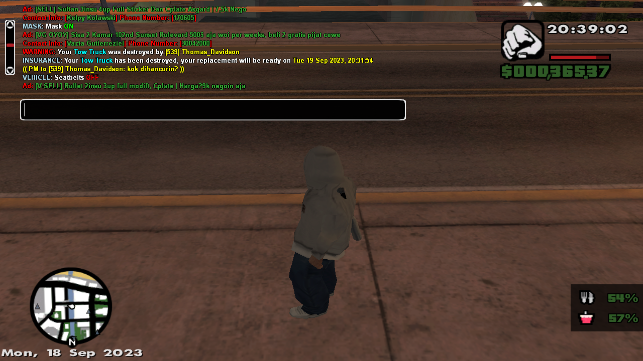 GTA-SA-MP-18-09-2023-20-41-03.png