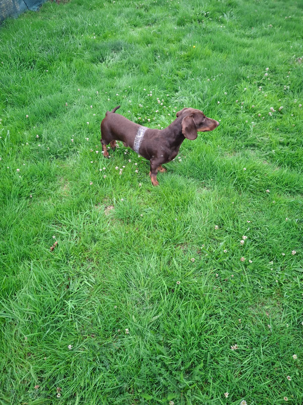 [Image: IMG-20250923-192939.jpg]