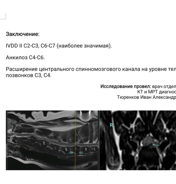 Whats-App-Image-2025-02-14-at-10-34-24