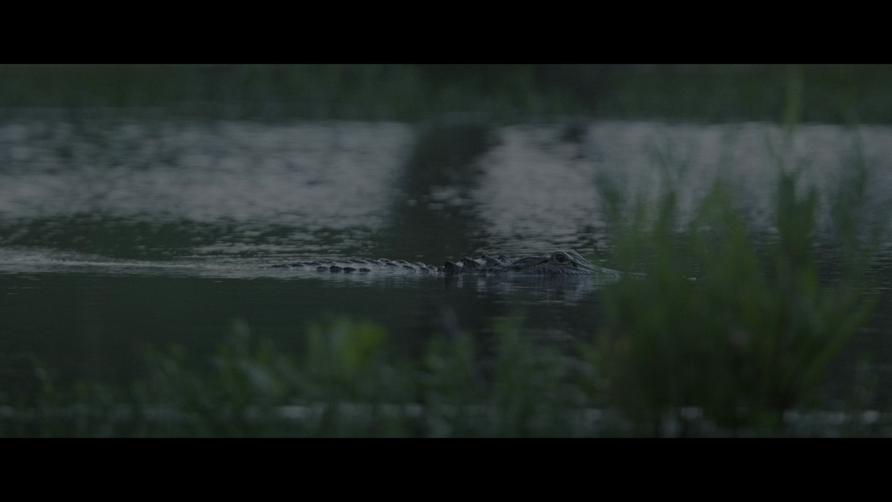 vlcsnap-2022-12-17-21h24m41s149