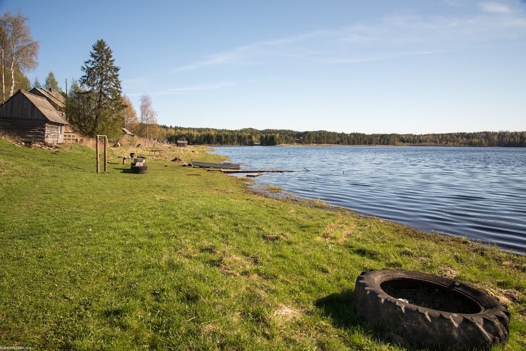 [Obrazek: 107144799.jpg]