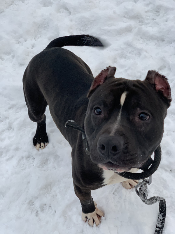 E83A7F1A-E0B6-4863-AD15-B7CB899ABF4B