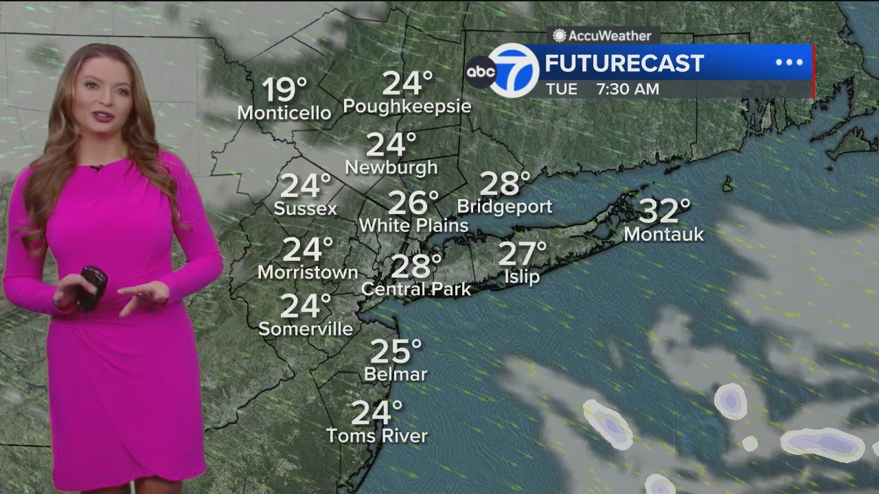Eyewitness News Mornings at 10_20250113_15001600.ts_snapshot_44.05.303