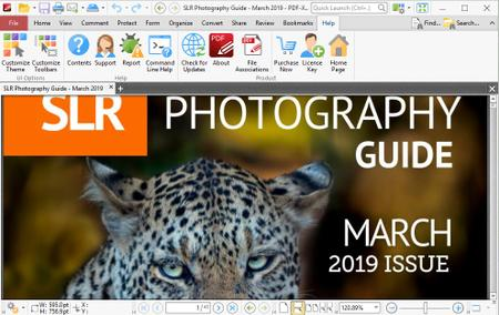 PDF-XChange Editor Plus 9.4.363 Multilingual Portable