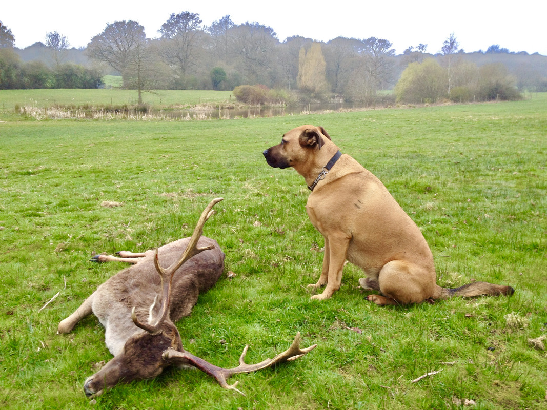 F0453FF5-8447-42C4-AD24-B41D7BFF7960