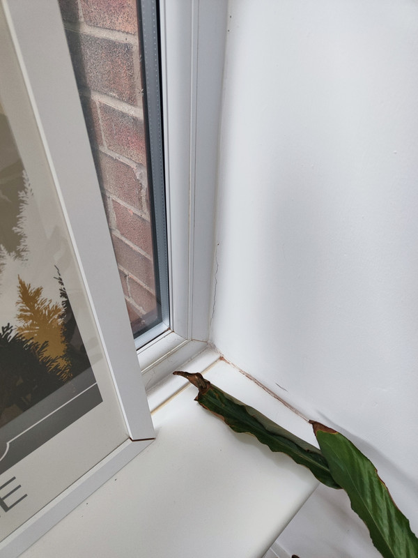 conservatory corner to wall 2