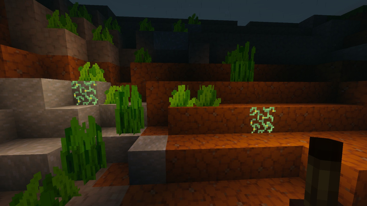 Water Torch