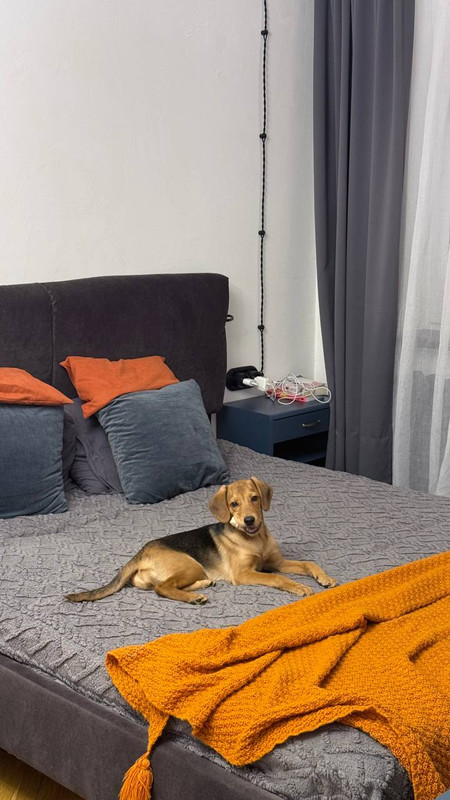 IMG 20260309 160942 159