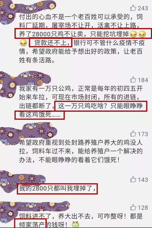 https://i.postimg.cc/rw3DhZNg/Capture-2020-01-31-08-54-42.png