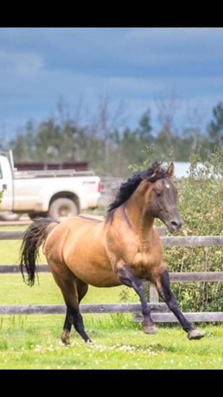 34357FD0-90FB-4550-9F68-488D2931FFA1