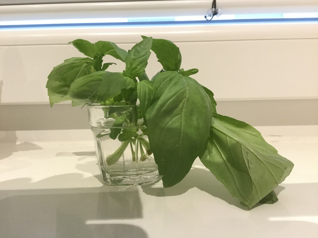 E99E44AC-3FE2-4208-B381-B9E16541305B