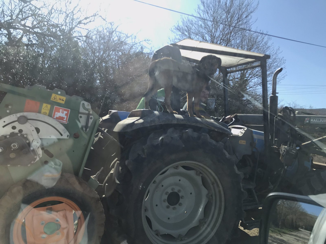 8A274F84-61C0-41FF-8A3B-FA752B23AA4F