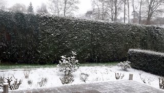 eerste-sneeuw-2021-jpg2