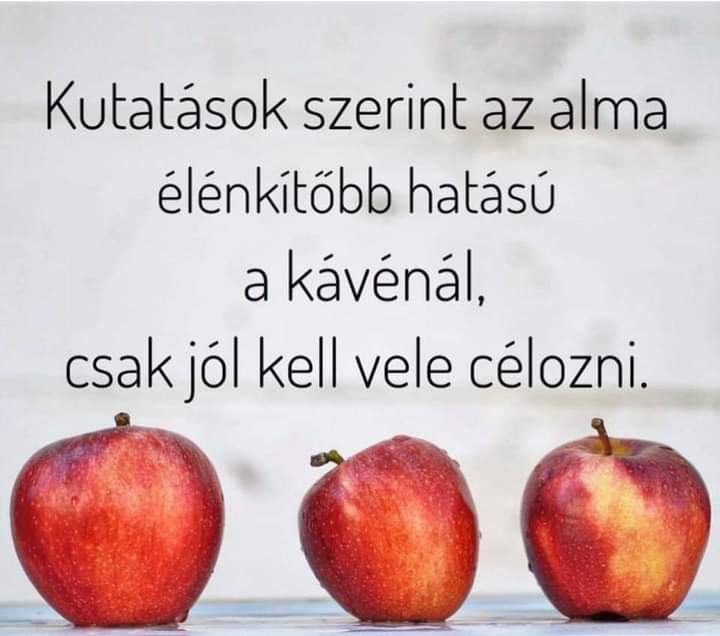 FB_IMG_1675162188338