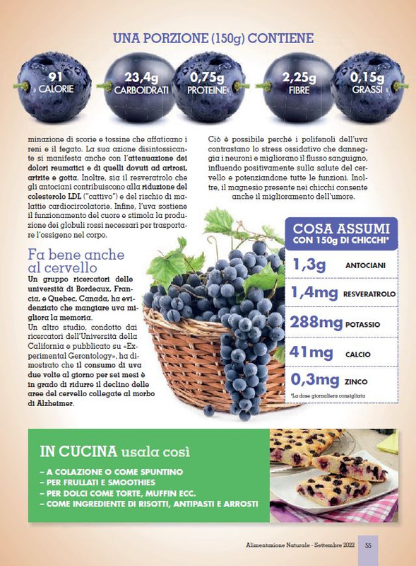 Alim Nat Set 2022 (10)