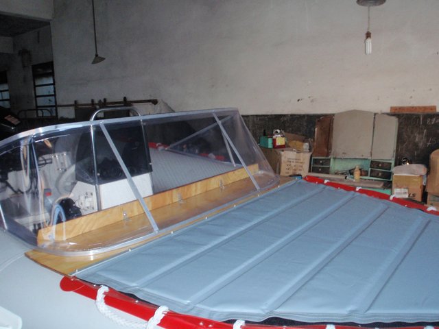 mimosos en berisso 201