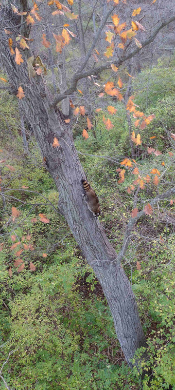 IMG_20221108_065836598 (1)