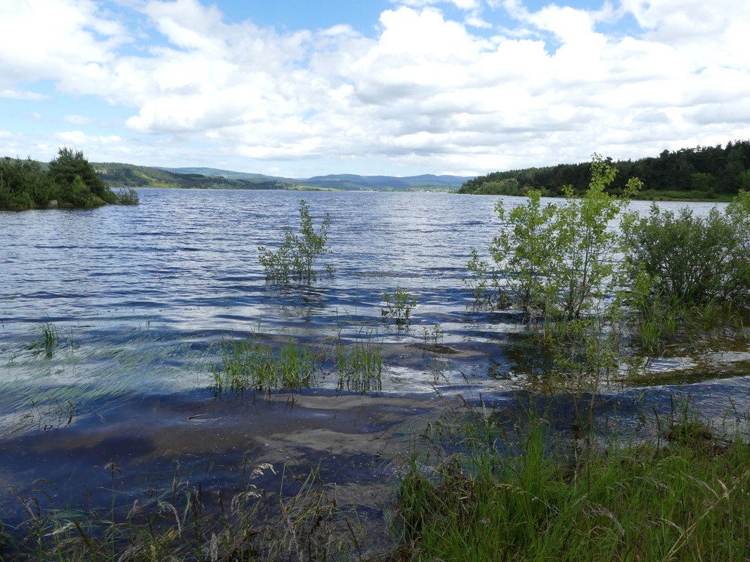 P1090753.jpg