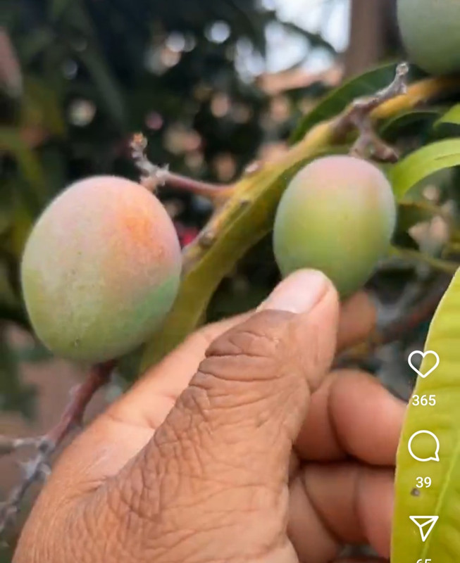 Screenshot_20240829_175855_Instagram