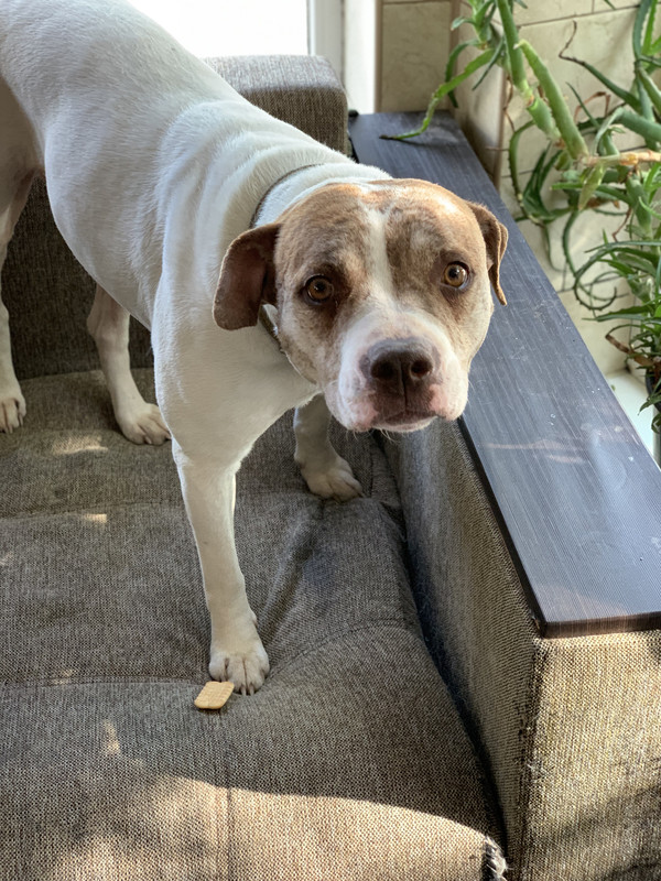 F687F014-BF02-423F-94B3-3AFB749C1DB7