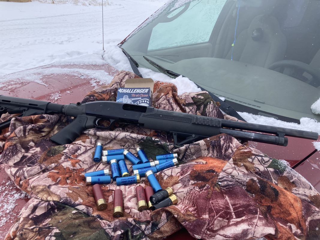 3D55E482-C670-4F5D-8A74-C385EE795013