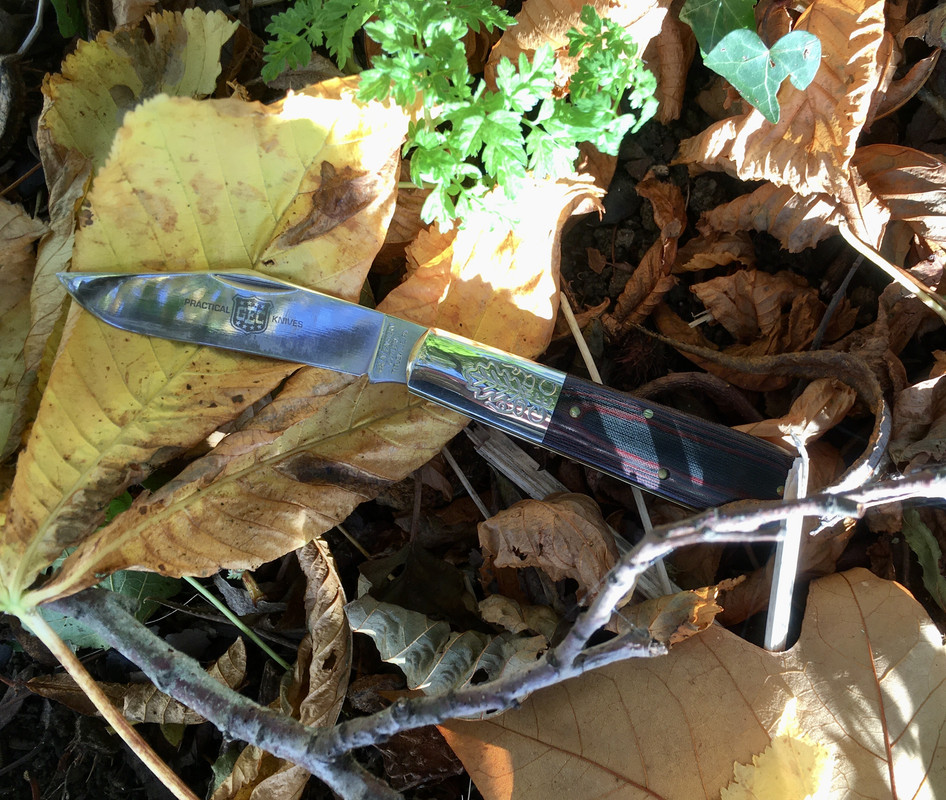 F4E27424-C23B-4194-AC78-C3C44ED60B35