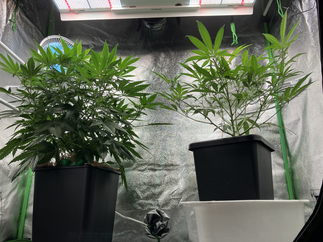 D2E5F33C-A7D6-4399-A4F3-6C87CDE66239