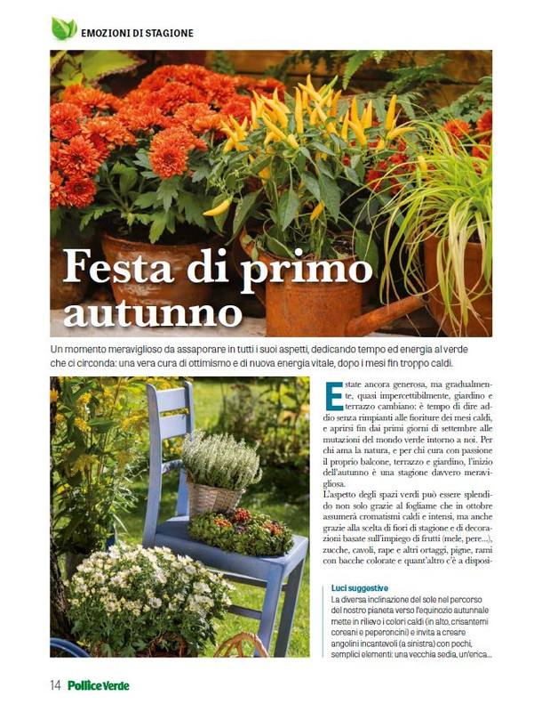 Pol Ver Set 2025 (7)