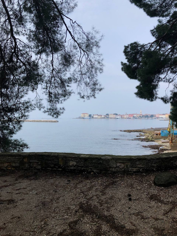 photo_2025-01-31_21-03-29