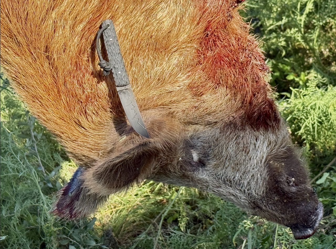 Screen Shot 2025 11 10 at 7 27 01 PM