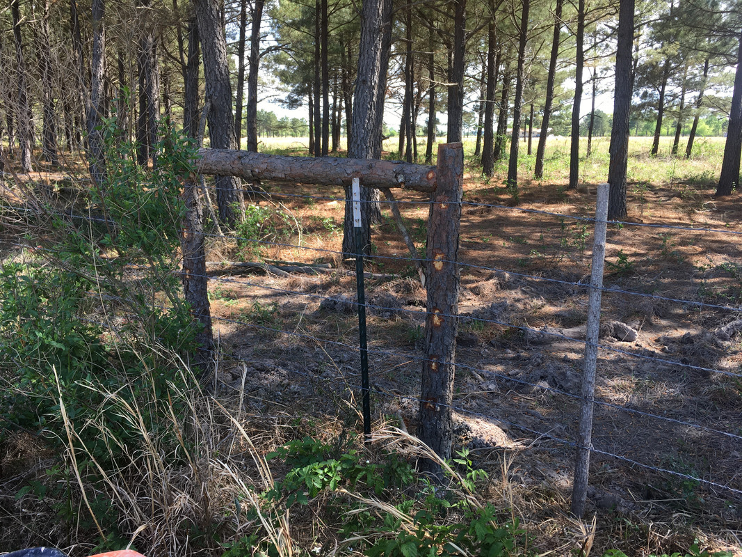 36D0FEC6-8230-4C47-BF62-F5F1DD9B3329