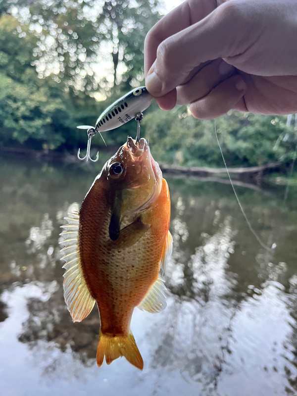 FE12FFA5-D962-4085-926A-C0DE9C267B49