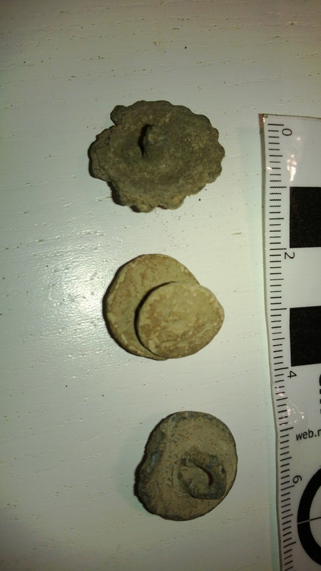 WP_20131113_006