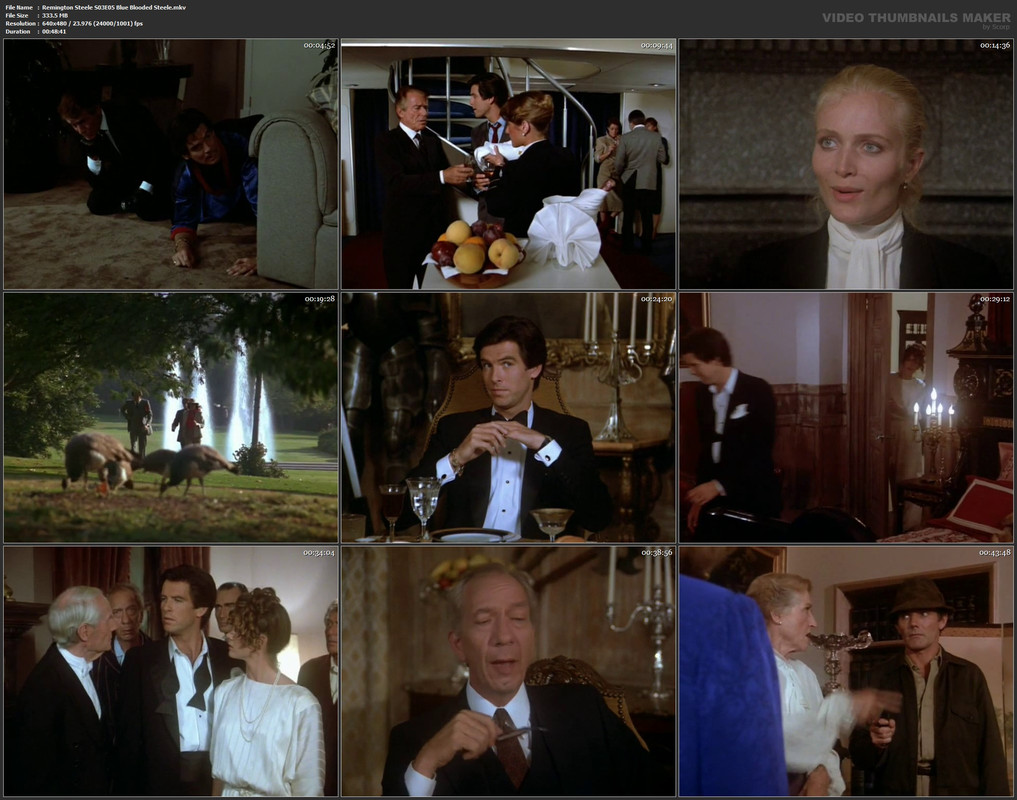 Remington Steele S03E05 Blue Blooded Steele.mkv