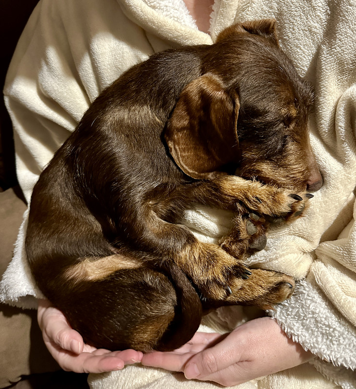 [Image: IMG-4896.jpg]