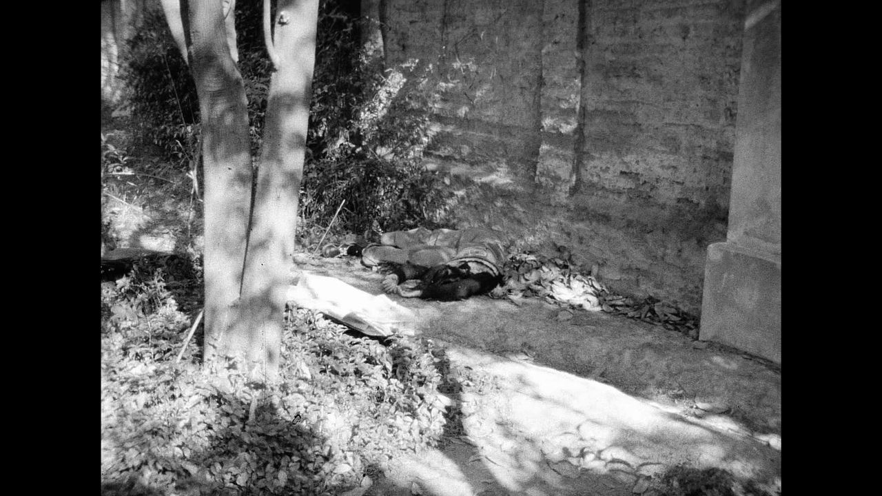 vlcsnap-2023-02-20-18h53m50s061