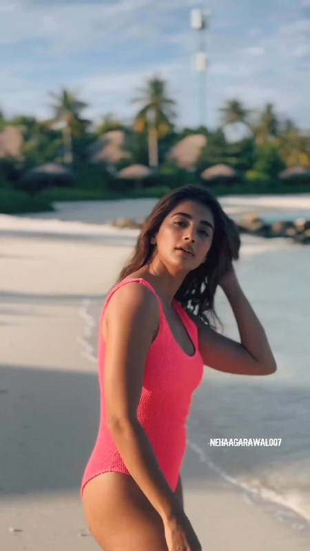 IMG_20231019_172953_596