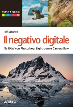 Jeff Schewe - Il negativo digitale (2014)