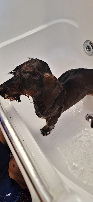 [Image: 20250305-142001.jpg]