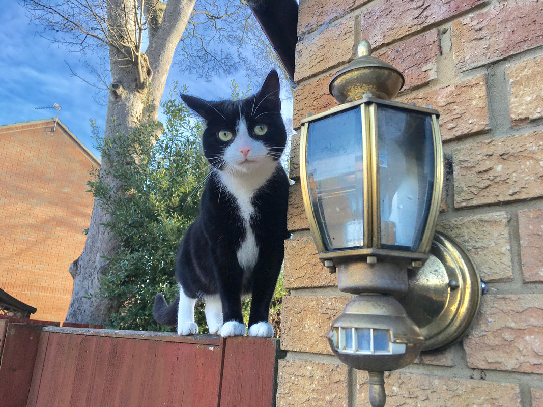 CB204CEF-BD70-4119-92B4-C57E6F44585A