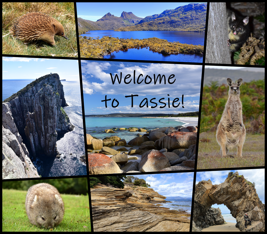 Australia (II): Recorriendo Tasmania - Blogs of Australia - Introducción (1)