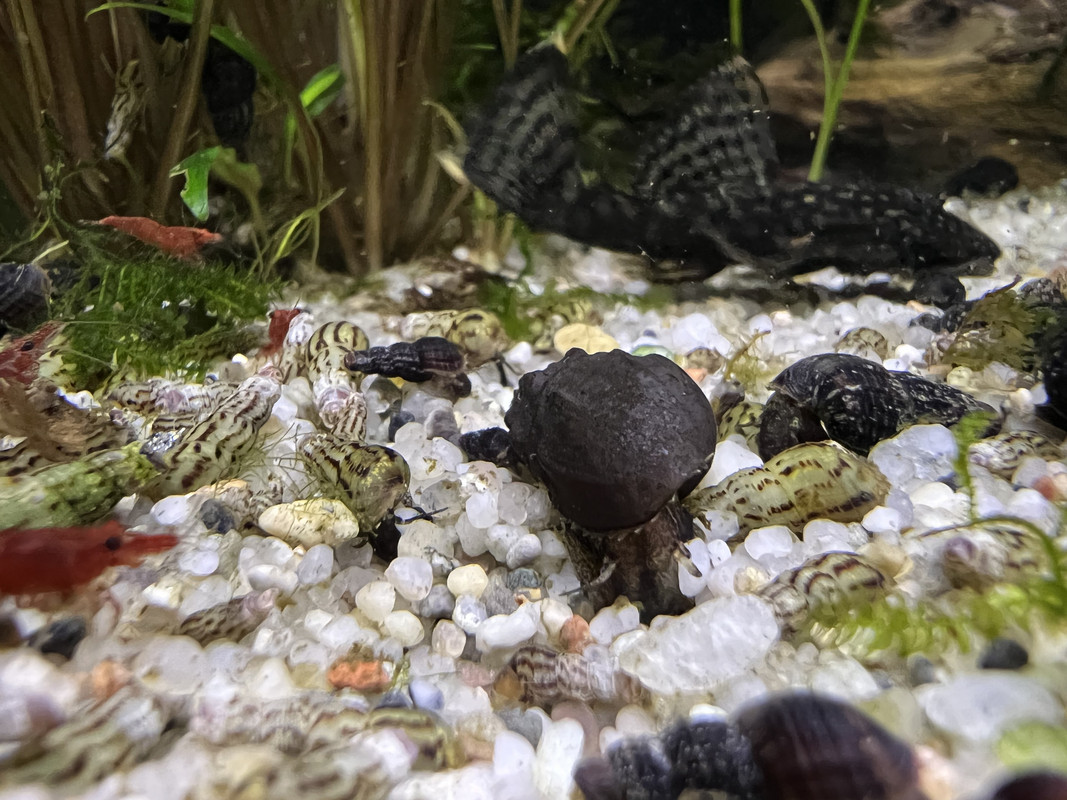 38375655-9D9A-4A01-8A1C-F8984C92662C