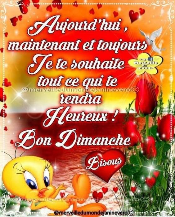 https://i.postimg.cc/rw7B7Q3d/3348475392-1-3-t-FN0ok-J9bondimanche.jpg