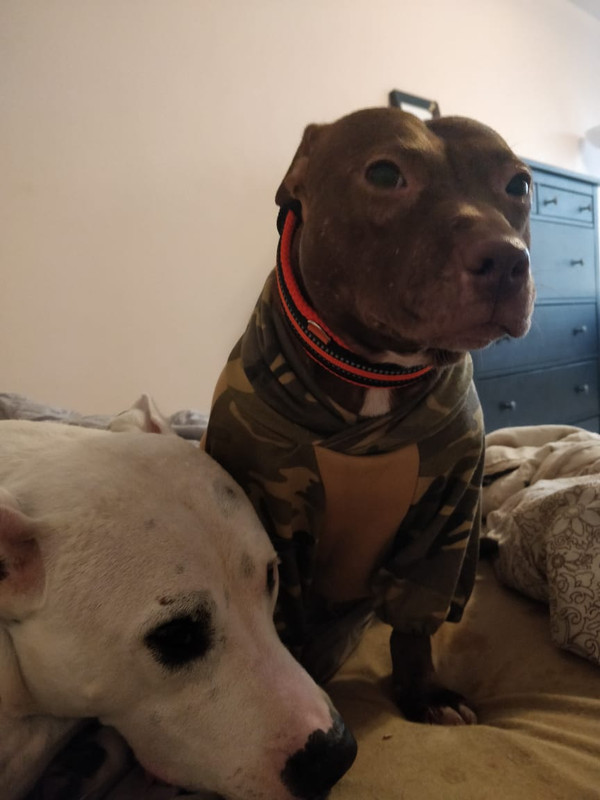 49CEC2A8-6B61-4D68-9B83-7FD0C80D22B8