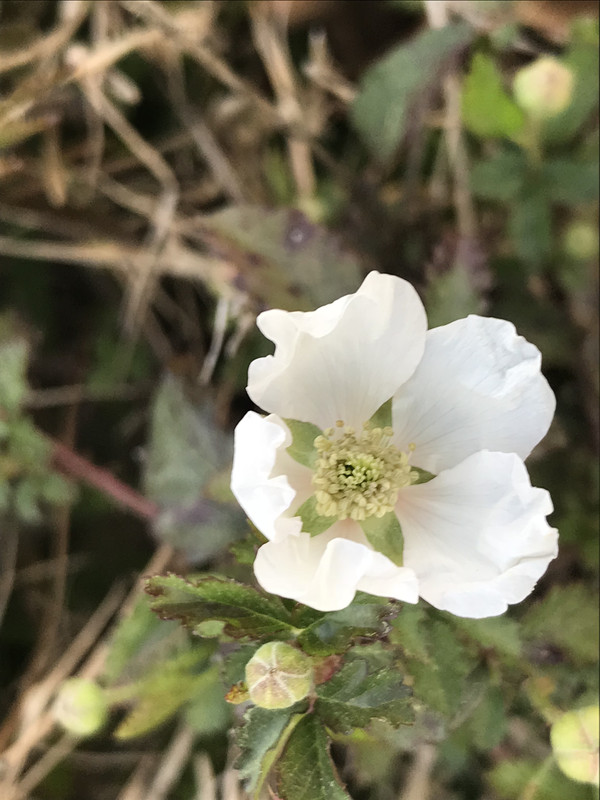 A45EC4D7-5250-4C43-81B1-F305414A3510