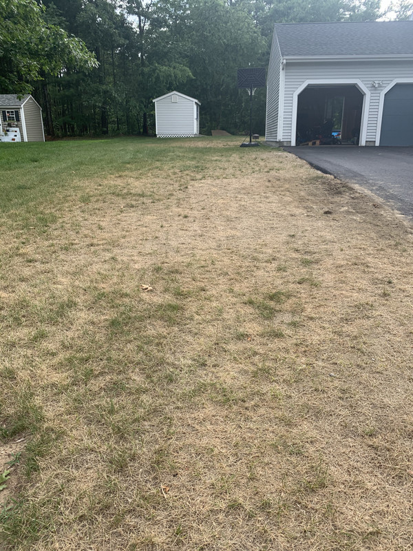 6ED46CA4-6D96-495C-B81F-D3A0C1F10ED8